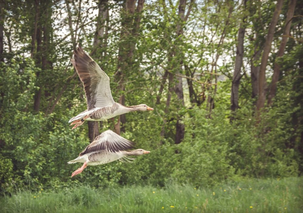 Photograph by Ольга Ильина