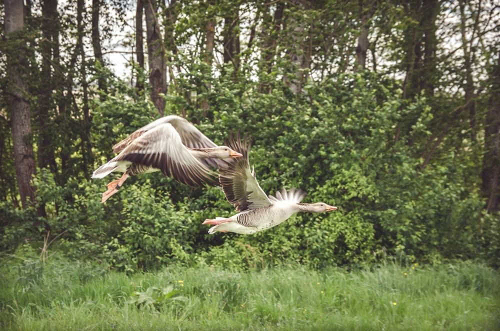 Photograph by Ольга Ильина