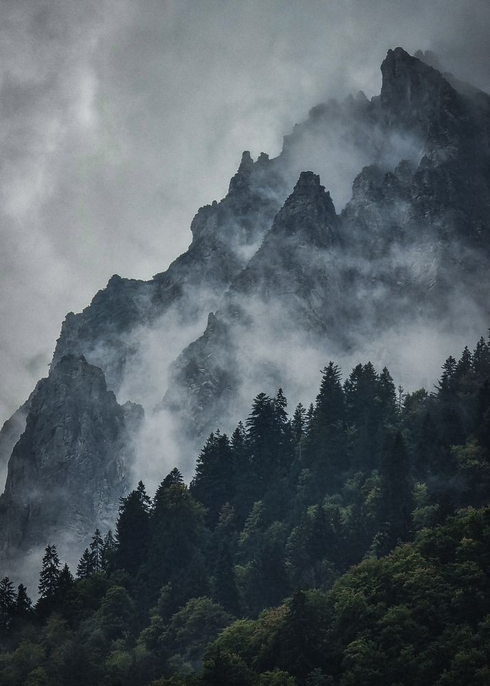 Photograph by Дмитрий Рябцев