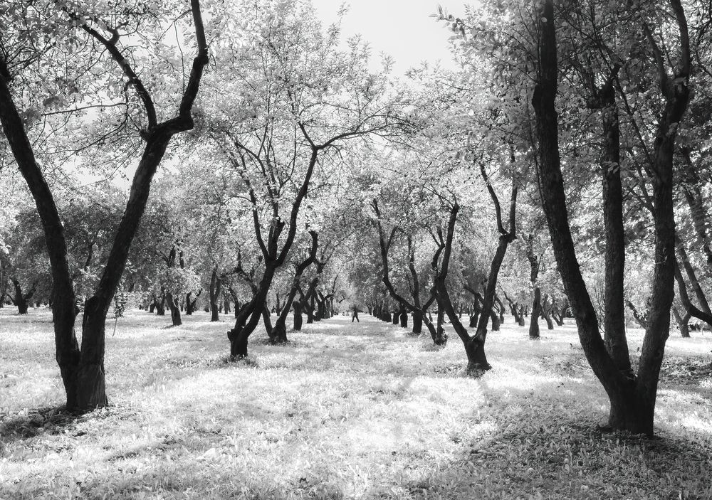 Фотография автора Котов Андрей