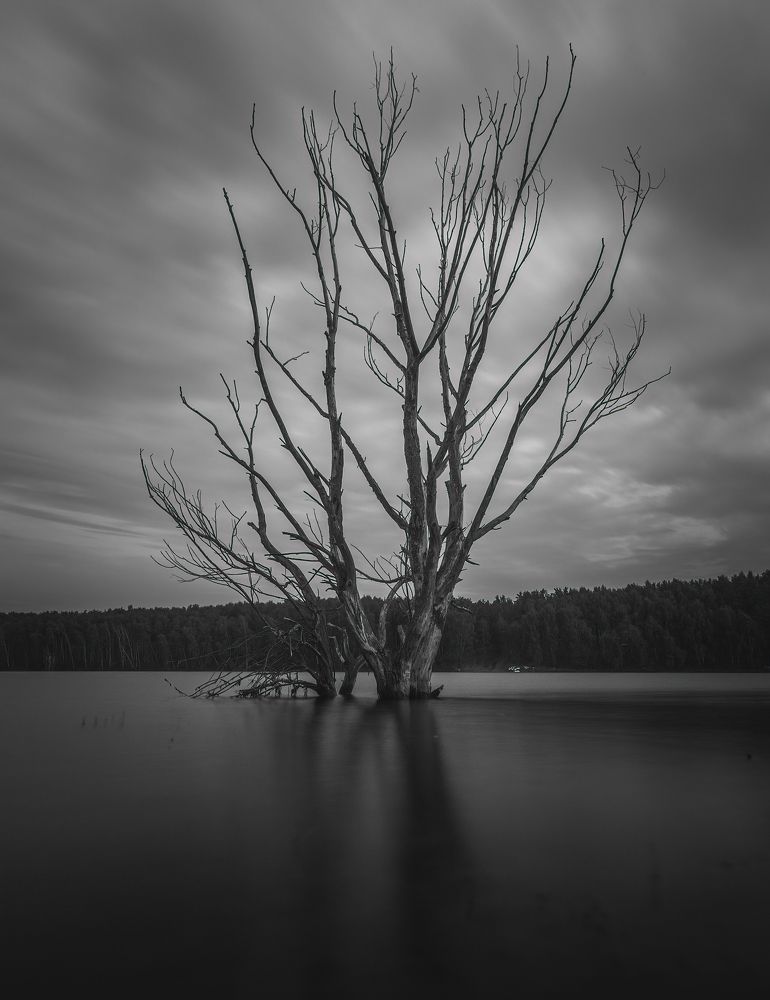 Фотография автора Котов Андрей