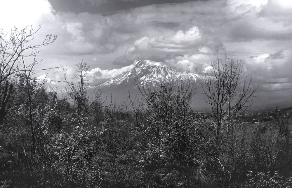 Photograph by Tatevik Tananyan