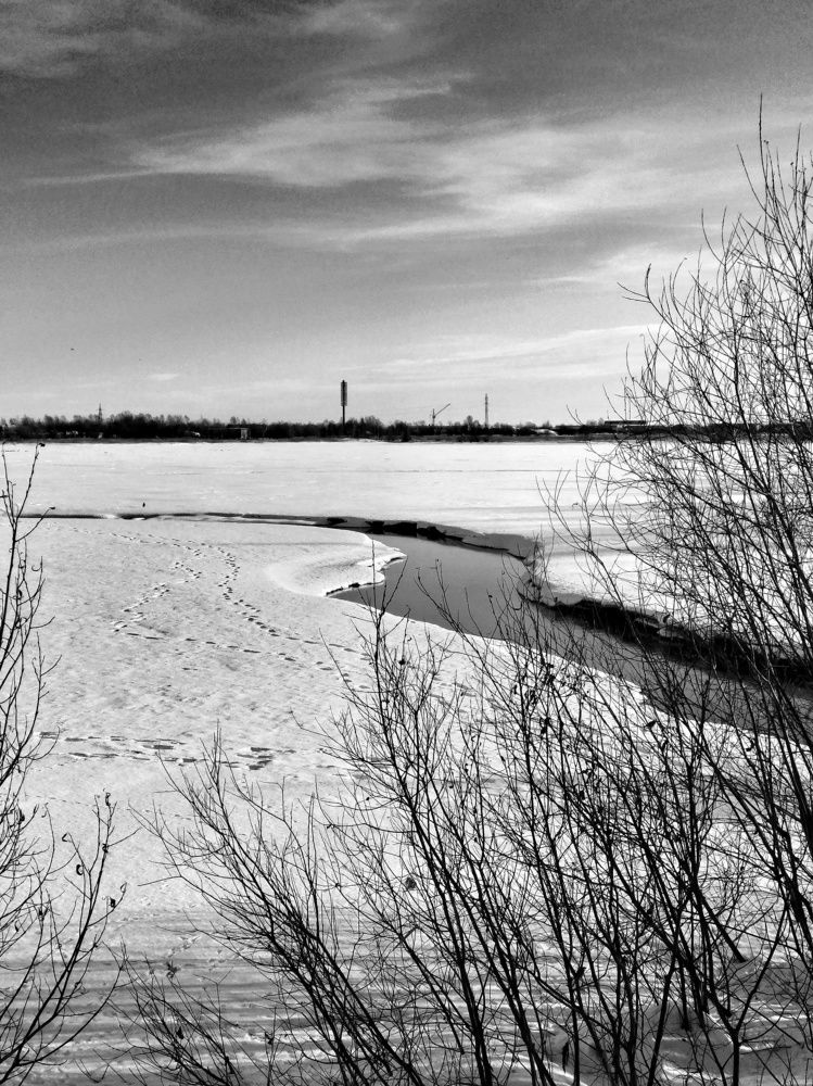 Photograph by Светлана Фокина