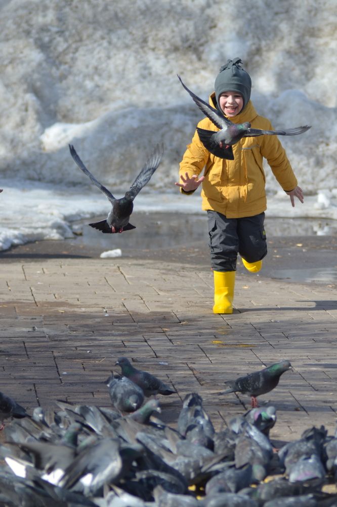 Photograph by Ирина Хламова