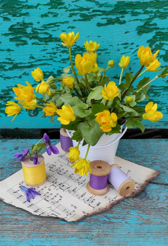 Фотография автора Марина Гусева