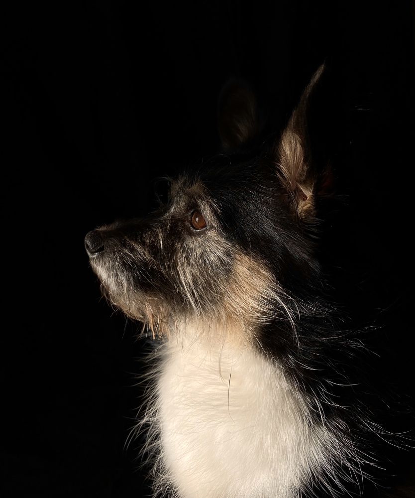 Photograph by Гульнара Шаньгина