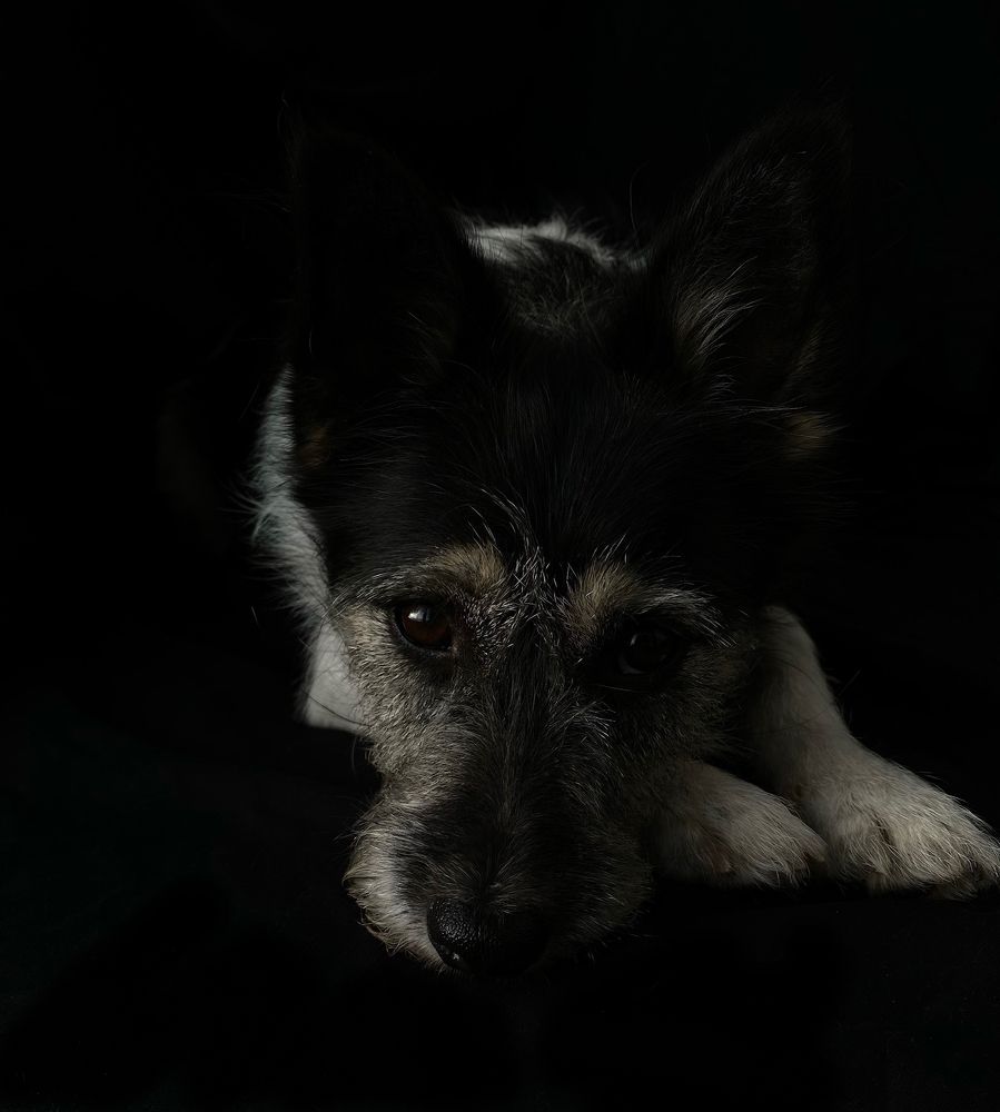 Photograph by Гульнара Шаньгина