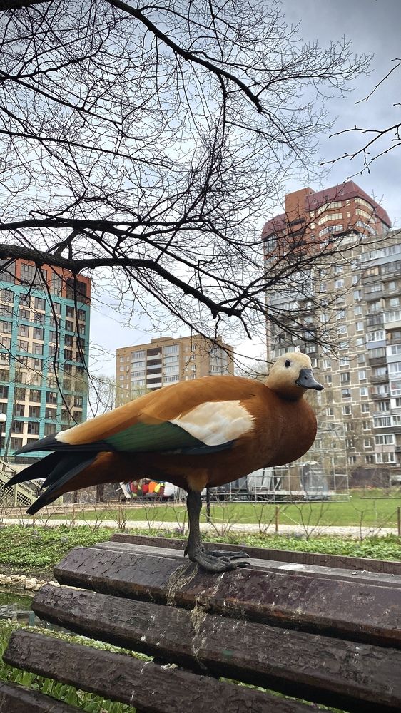 Photograph by Алия Мокрая