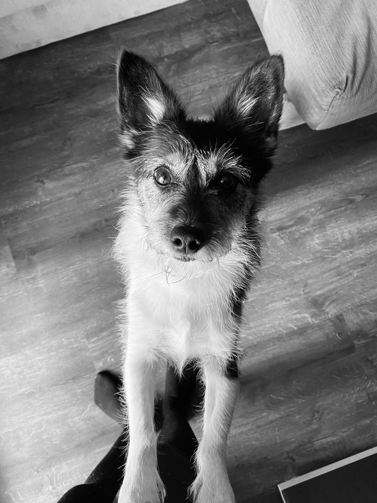 Photograph by Гульнара Шаньгина