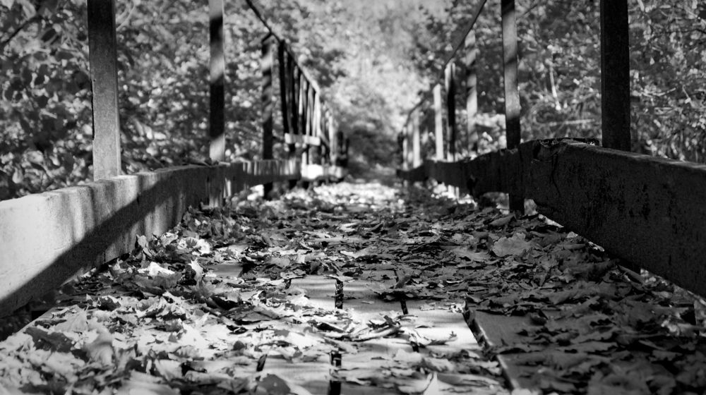 Photograph by Анастасия