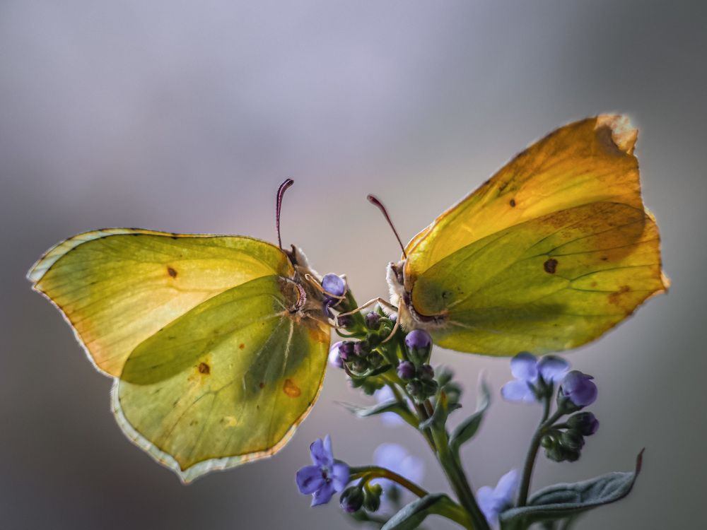 Photograph by Мария Исаева