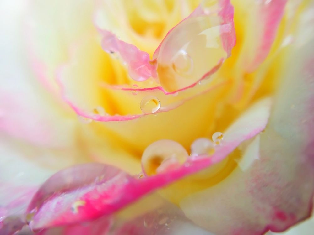 Photograph by Любовь Коровацкая