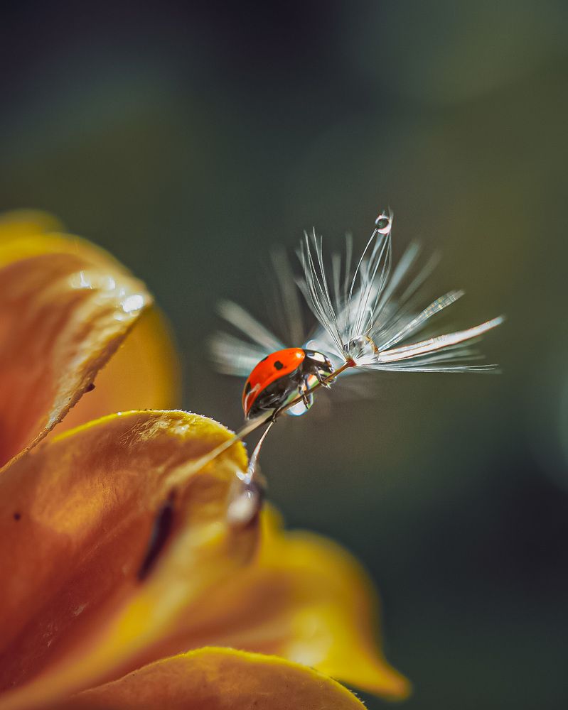 Photograph by Мария Исаева