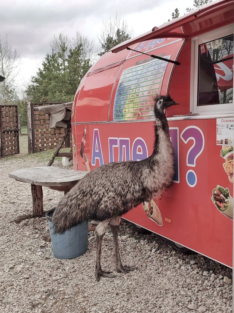 Покупатель