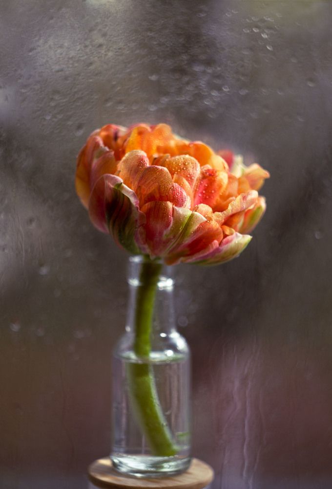 Photograph by Александра Гончаренко Александра Гончаренко