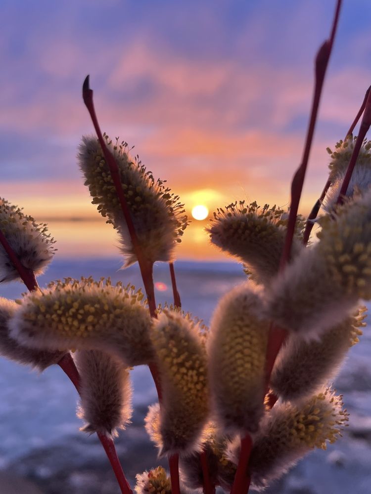 Photograph by Ирина