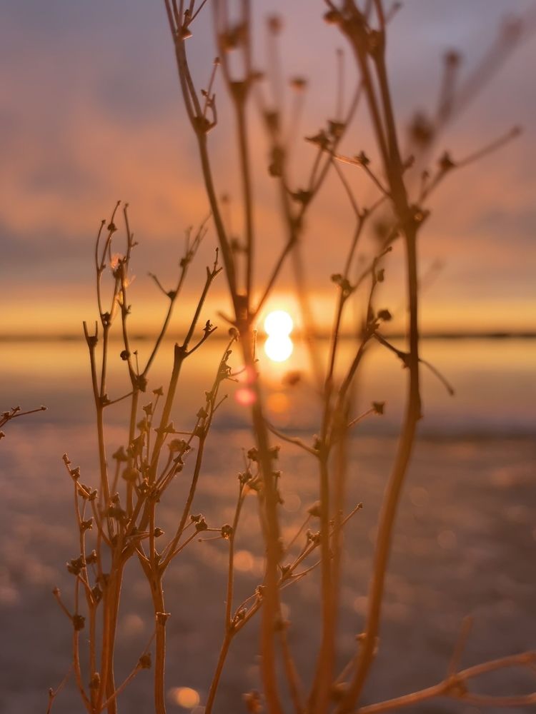 Любовь к рассветам.