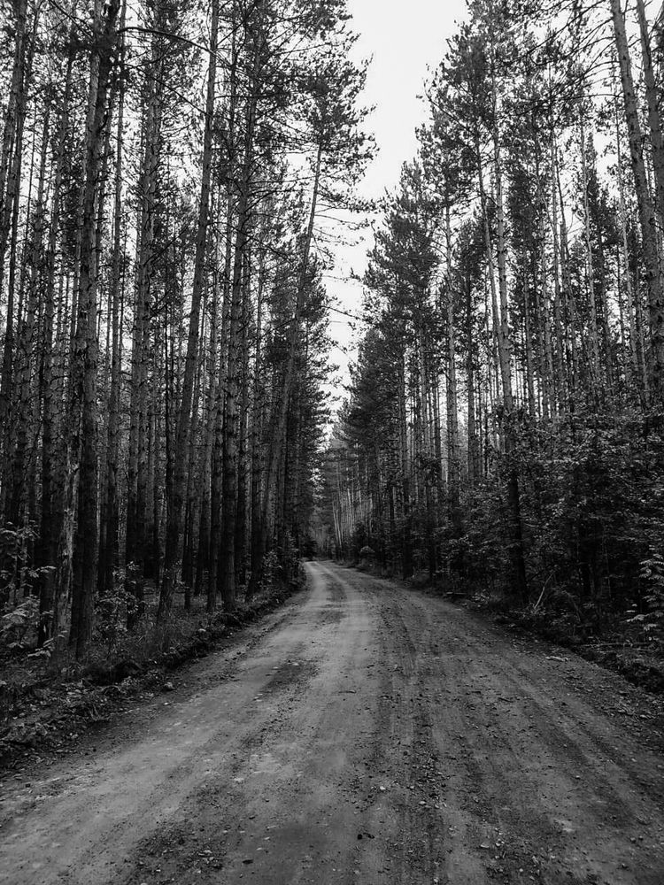 Photograph by Анна Лисина