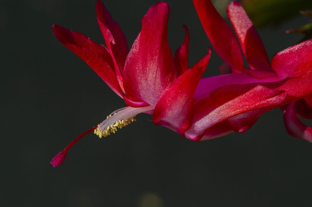 Photograph by Иван Коляда