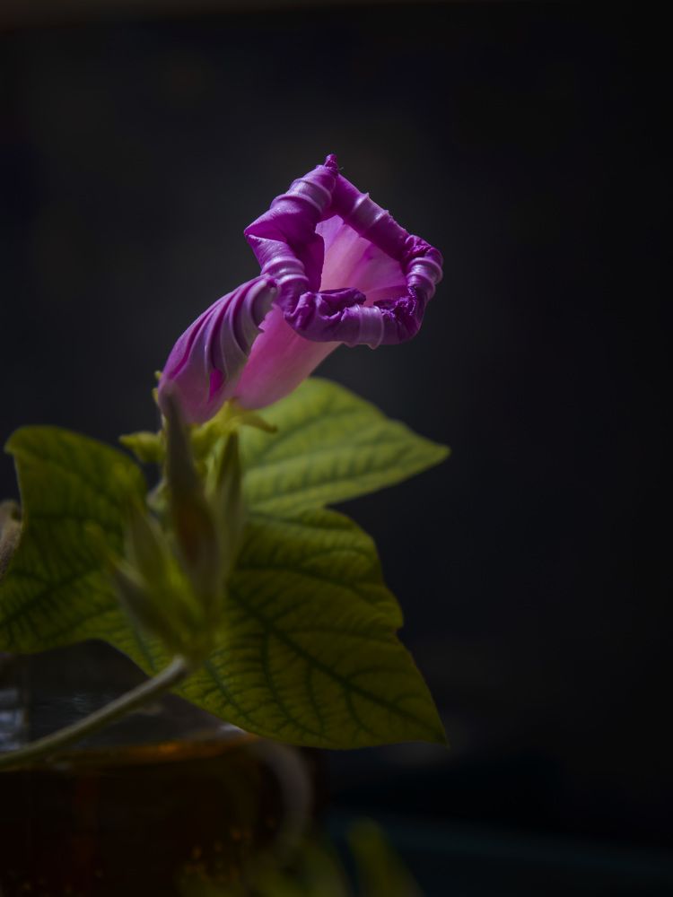 Photograph by Иван Коляда