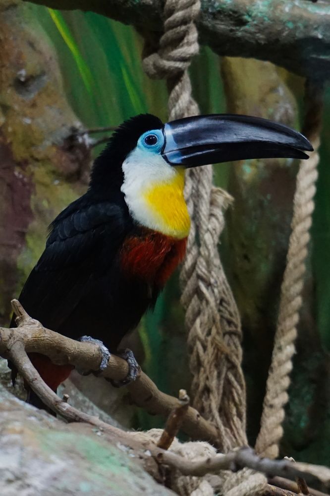 Photograph by Viktoria Vavilkina