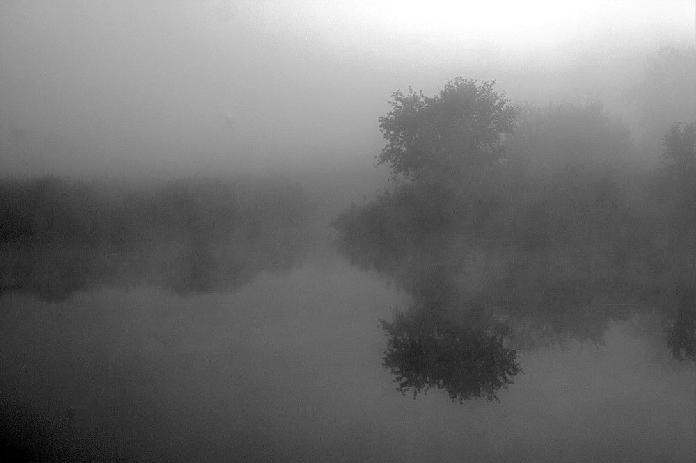 Photograph by Maks315519