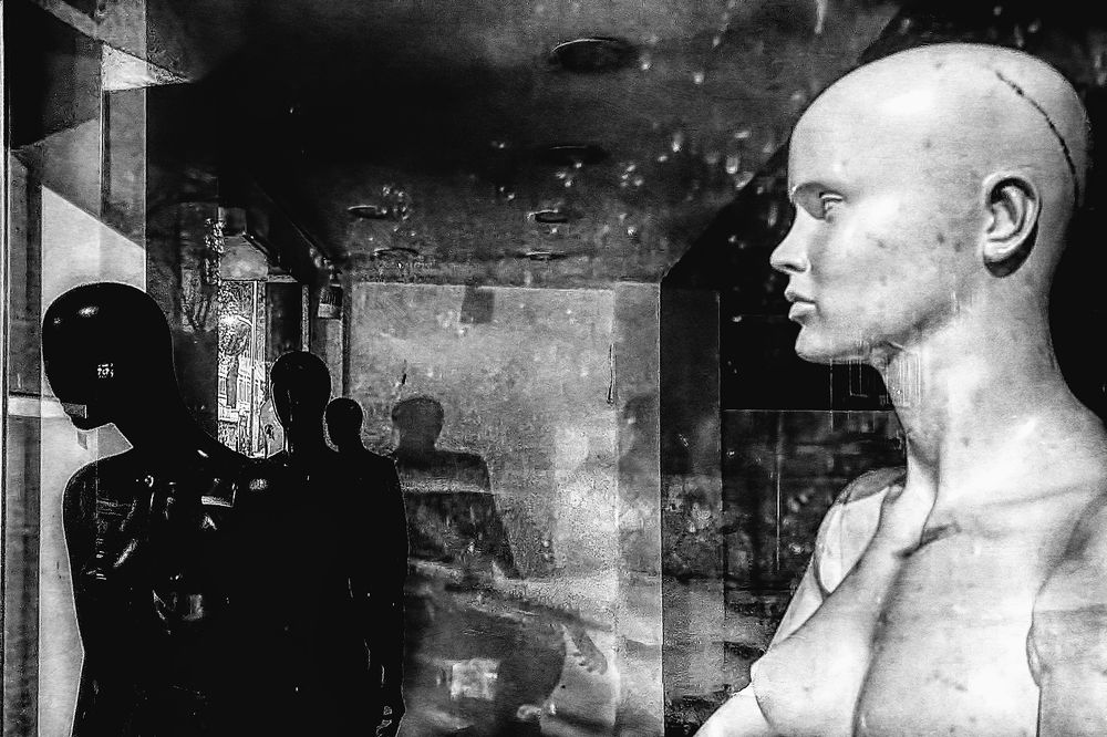 Фотография автора AYLIN EROZCAN