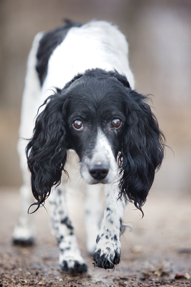 Photograph by Максим