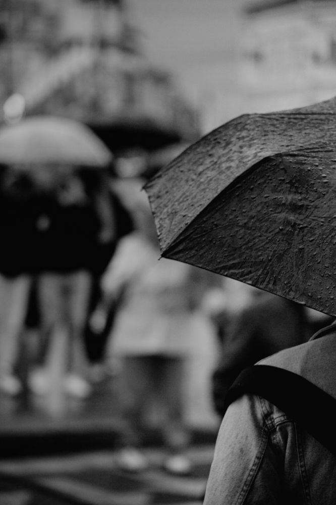 Фотография автора Никита становов