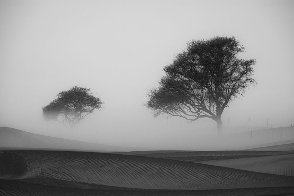 Photograph by Babar Swaleheen