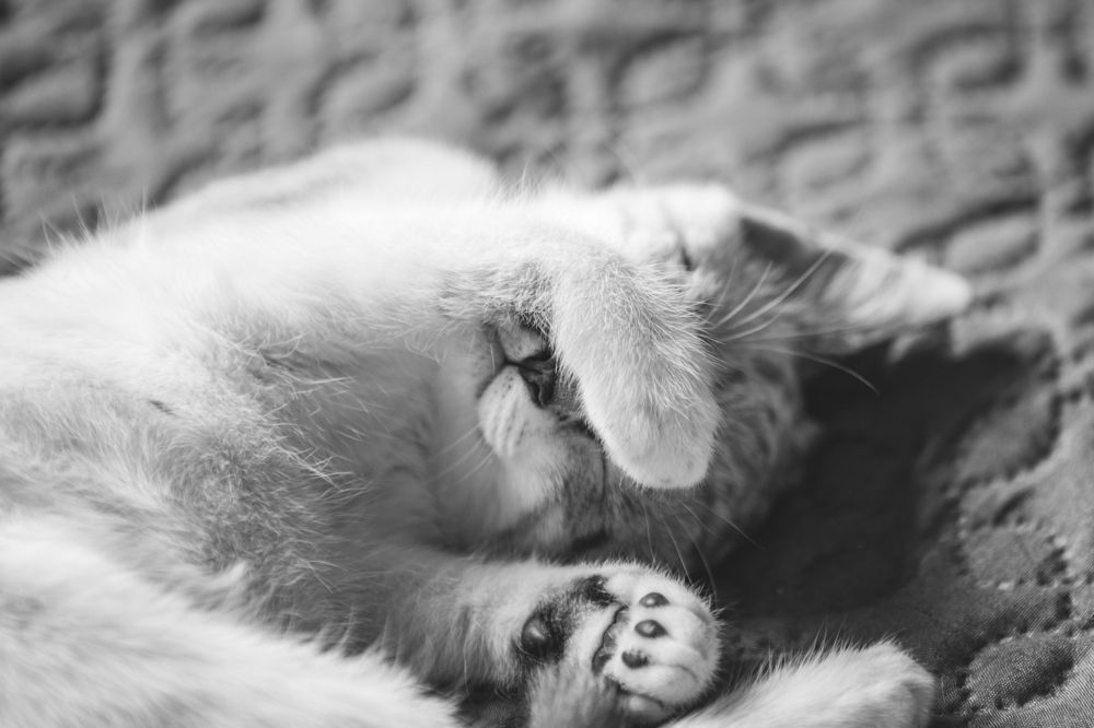 Photograph by Kaupo Tammiste