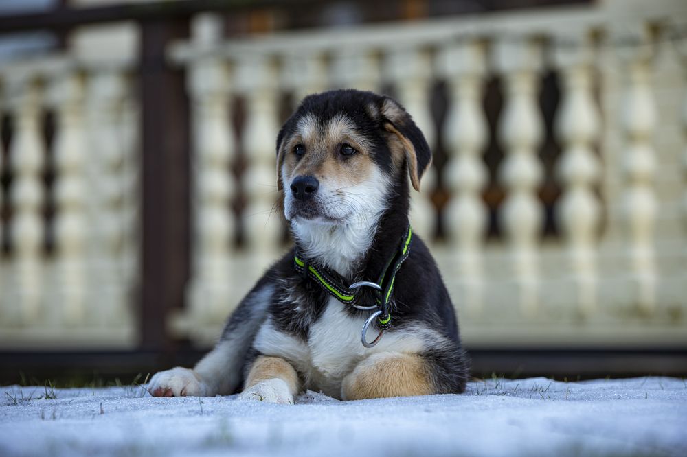 Photograph by Kaupo Tammiste