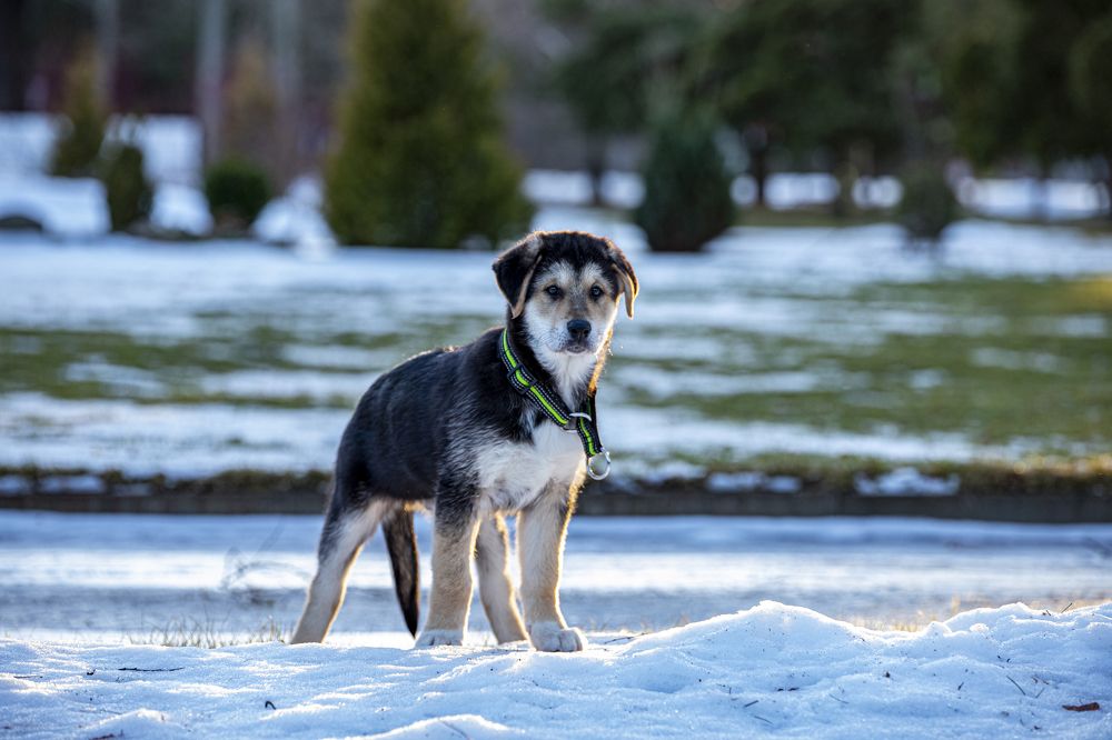 Photograph by Kaupo Tammiste
