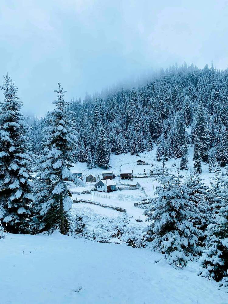 Photograph by Ламара Авалишвили