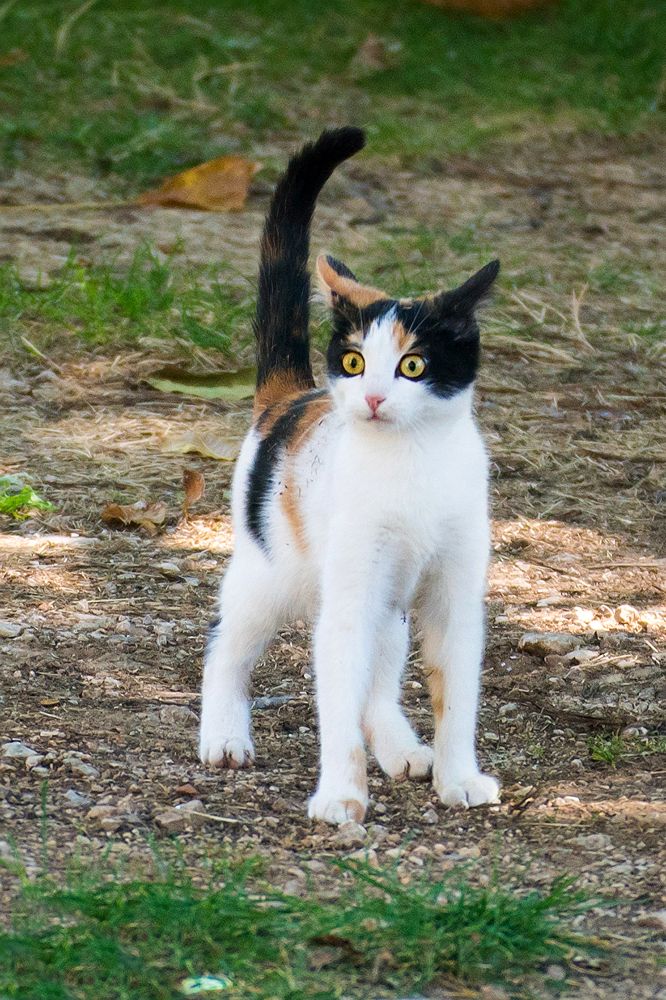 Photograph by Matko Matkovic