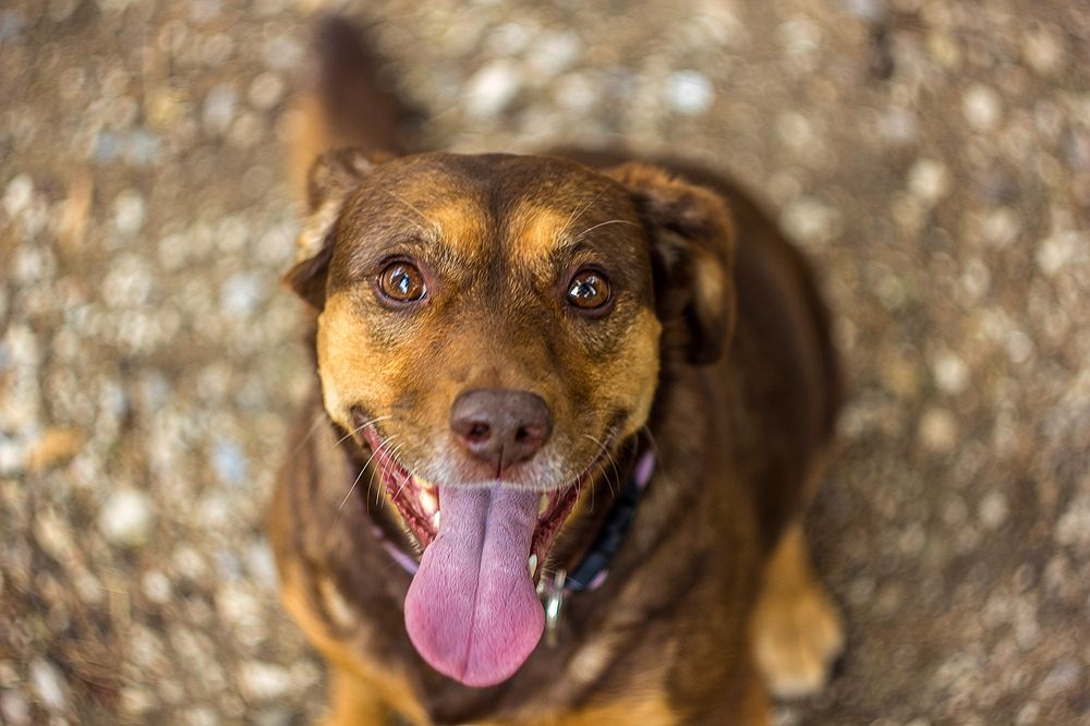 Photograph by Matko Matkovic