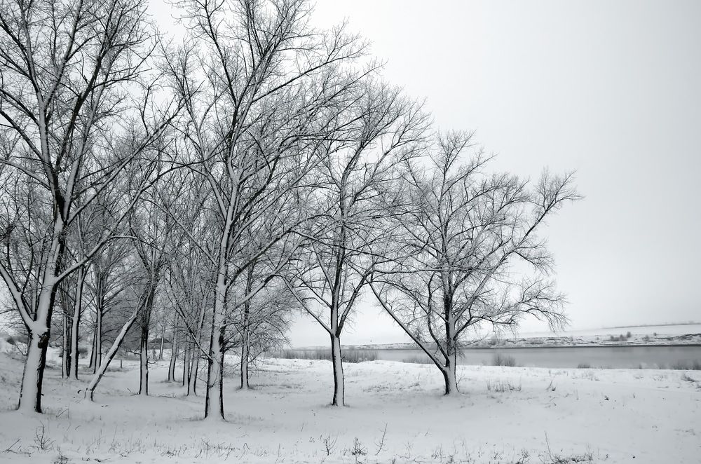 Photograph by Анатолий Святой