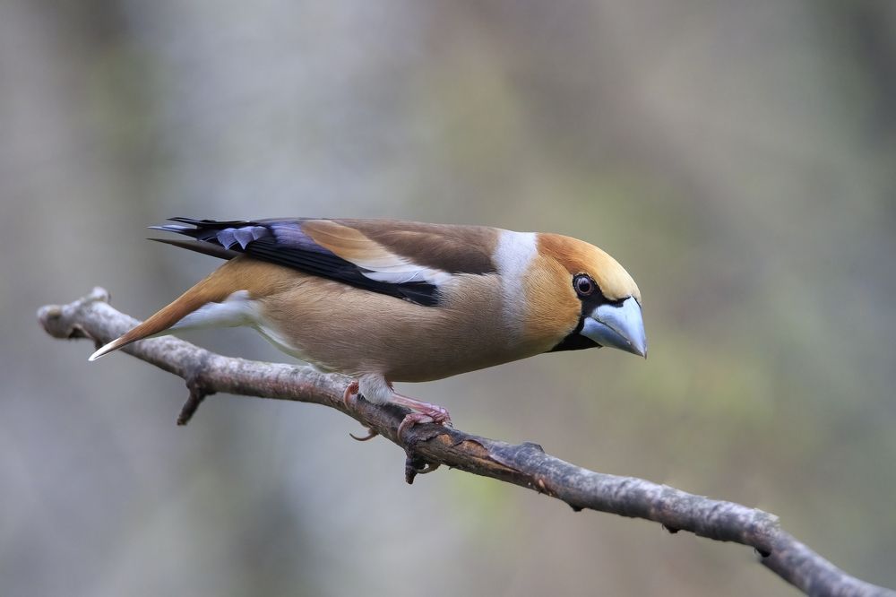 Photograph by Владимир