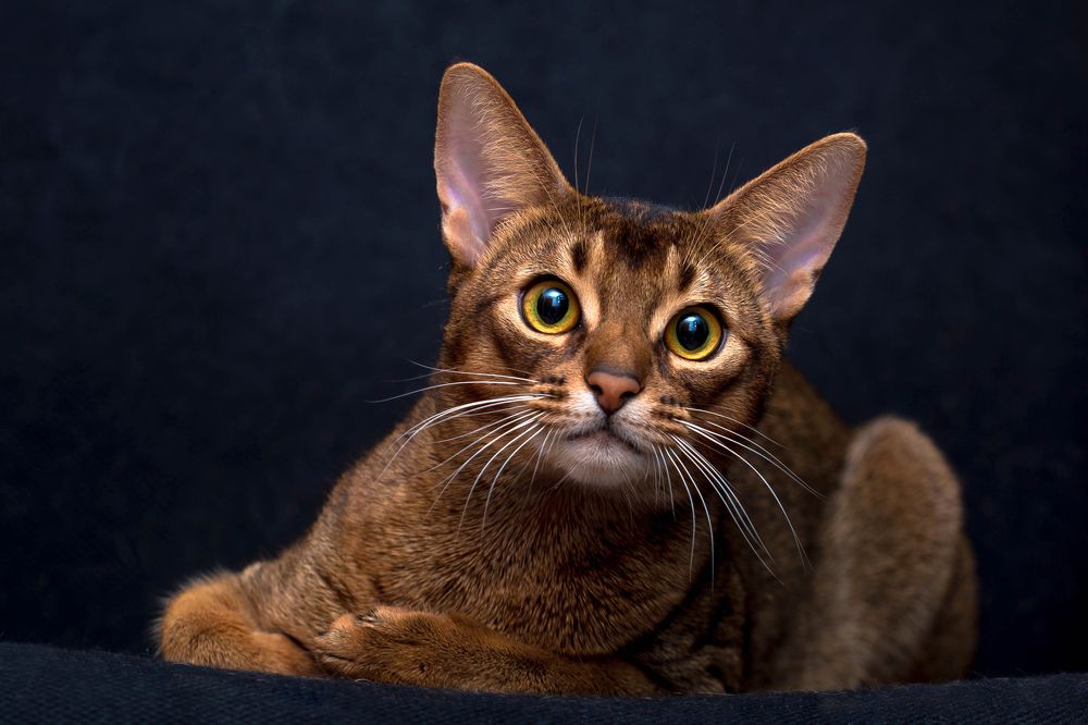 Photograph by Владимир Карпов