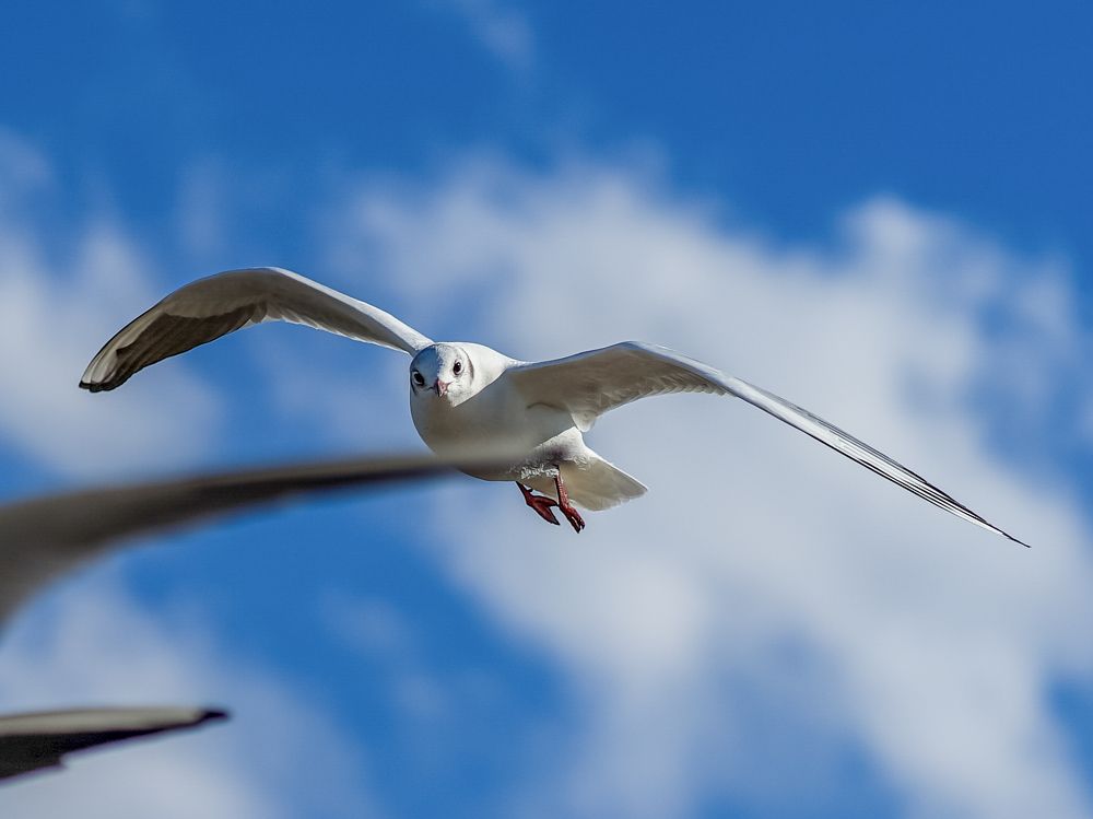 Photograph by Karatolos Nikos