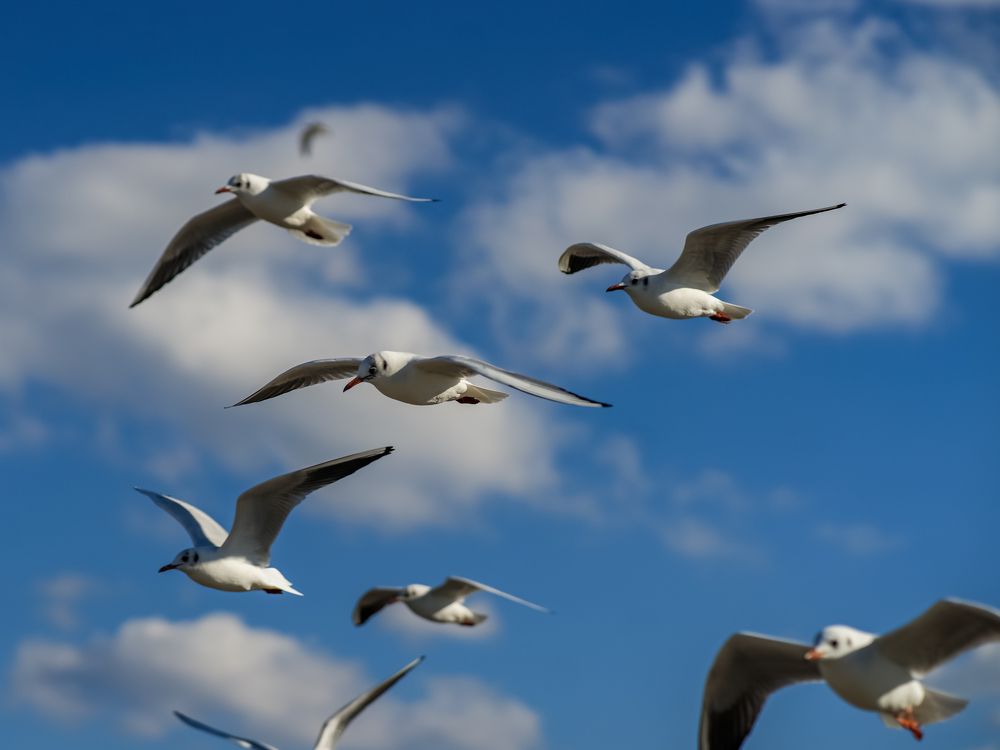 Photograph by Karatolos Nikos