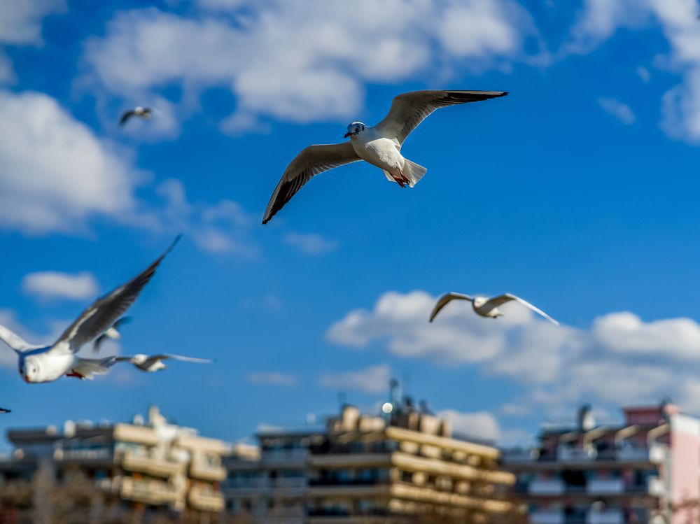 Photograph by Karatolos Nikos