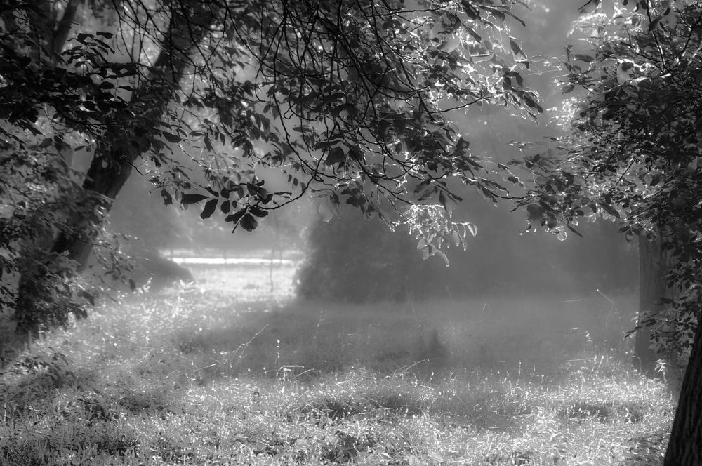 Photograph by Анатолий Святой