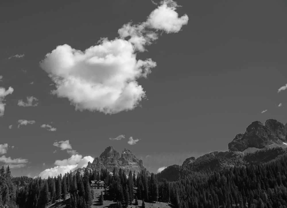 Photograph by Purple sunshine