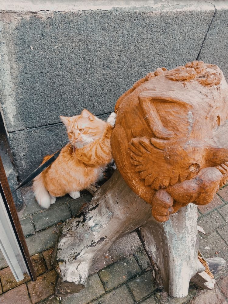 Photograph by Анна Воронова