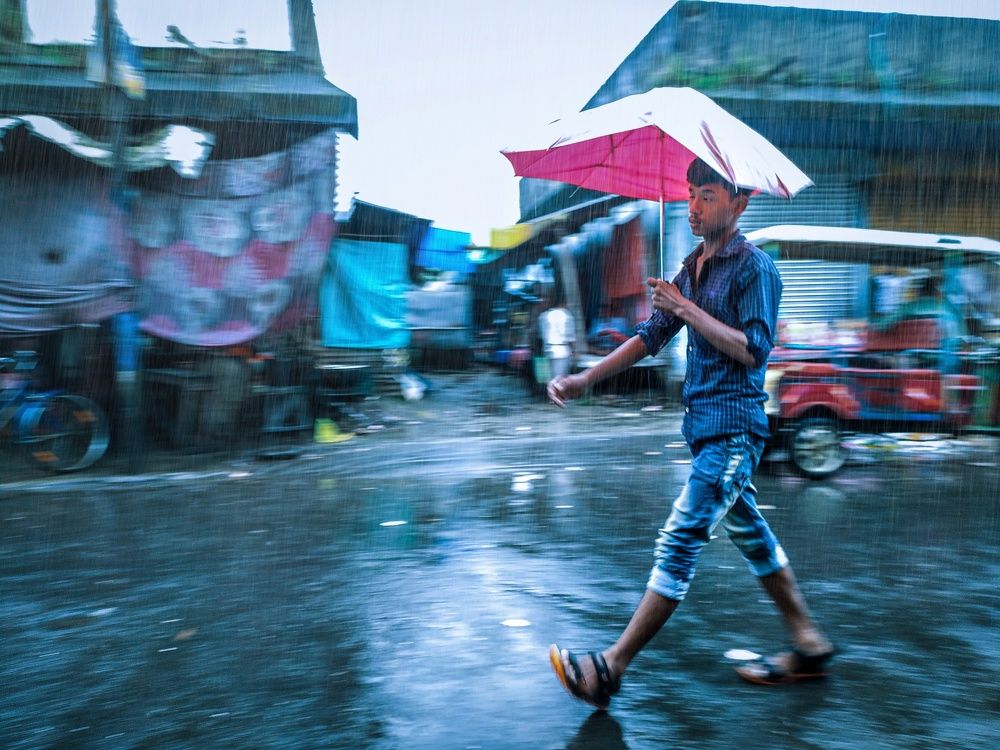 Фотография автора PRADIPTAMOY PAUL