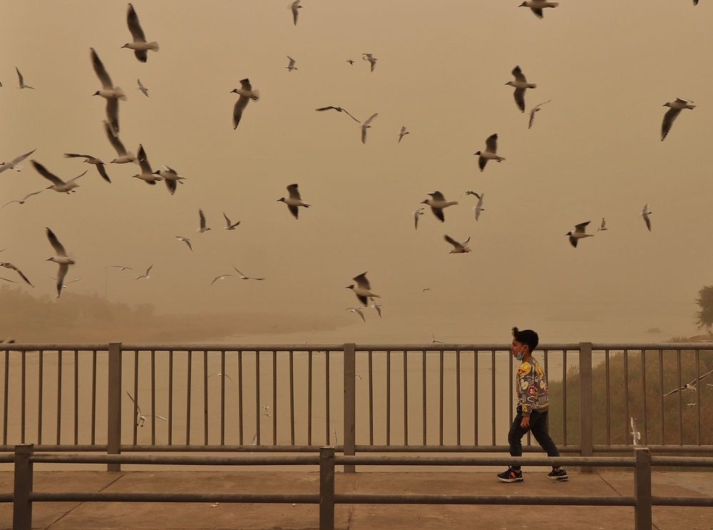 Photograph by Parisa Cheraghi