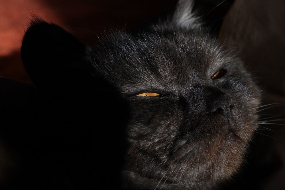 Photograph by Дмитрий Бровко