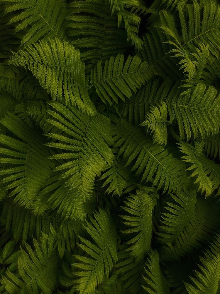 Photograph by Андрей Васильев