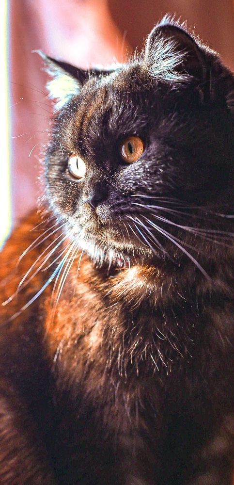 Photograph by Дмитрий Бровко